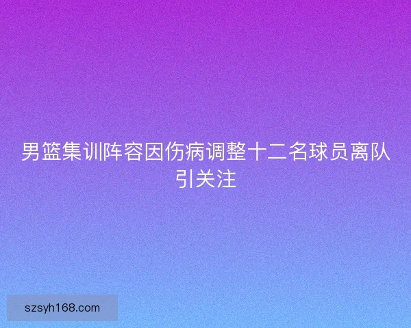 男篮集训阵容因伤病调整十二名球员离队引关注