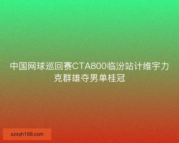 中国网球巡回赛CTA800临汾站计维宇力克群雄夺男单桂冠