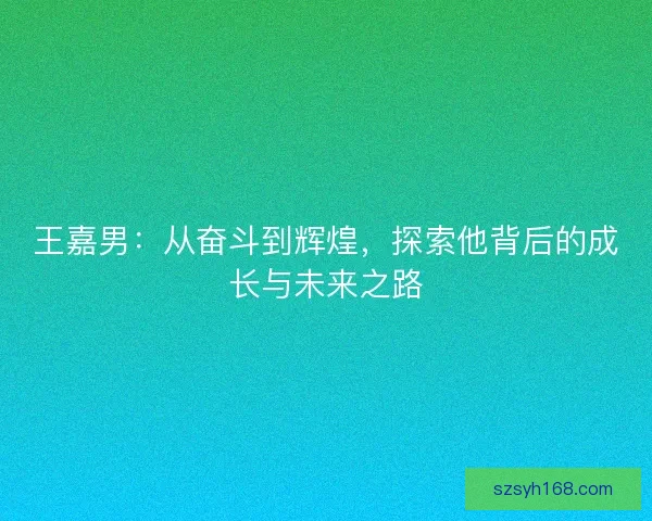 王嘉男:从奋斗到辉煌,探索他背后的成长与未来之路 王嘉男:从奋斗到辉煌,探索他背后的成长与未来之路